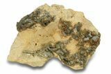 Gray-Green Tabular Barite With Phantoms - Peru #277246-1